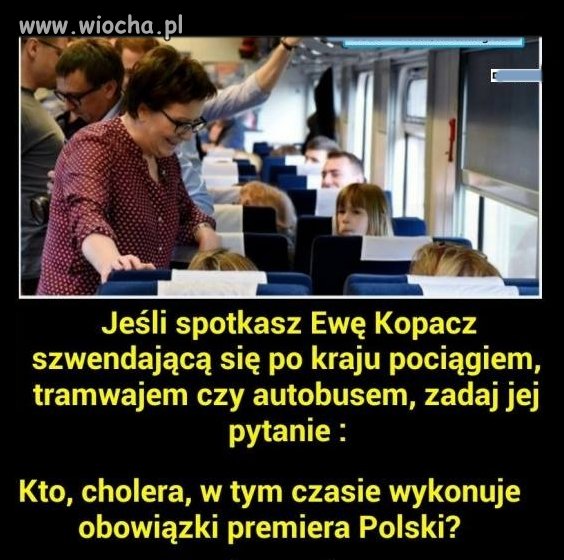 Robota nie zając