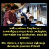 Robota nie zając