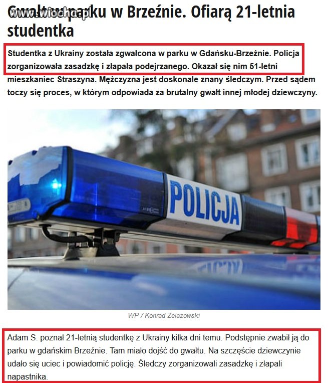 Profesionalny dziennikarz 