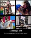 Właśnie, dlaczego 