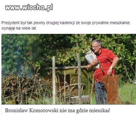 Bidula może ktoś z was go przyjmie pod dach ?