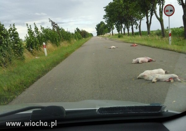 Tak się kończy jazda źle zabezpieczoną ciężarówką ...