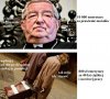 Subtelna rożnica