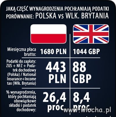 Zielona wyspa cebulaki? Dalej głosuj na tfu!