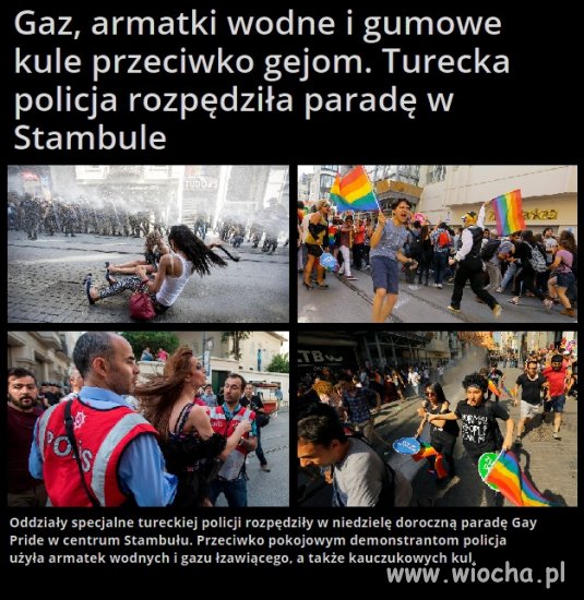I tak się powinno traktować tęczową hołotę 
