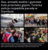 I tak się powinno traktować tęczową hołotę 
