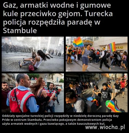 I tak się powinno traktować tęczową hołotę 