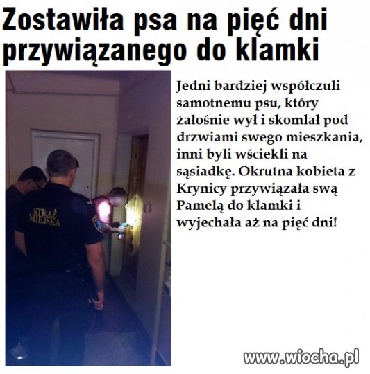 Bardzo "mądrze" zrobiła 
