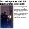 Bardzo "mądrze" zrobiła 