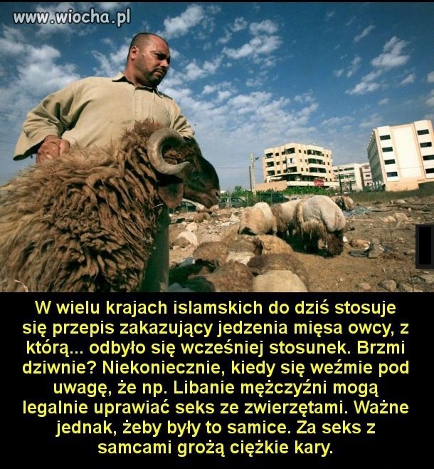 Zboczone 