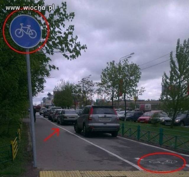 Znak drogowy C-13 oznaczający "droga dla rowerów" 