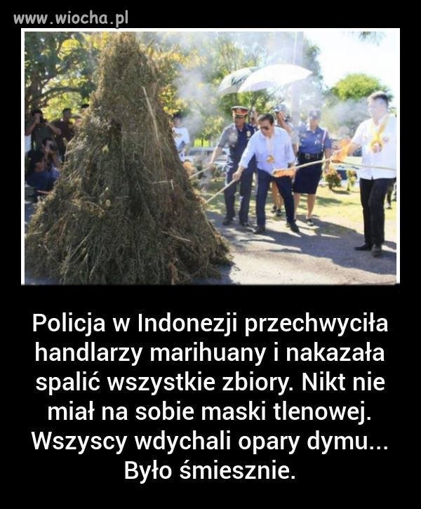 Pełny odlot