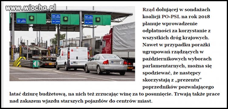 żeby chudy byk