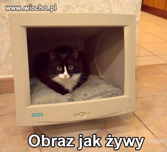 Obraz jak żywy