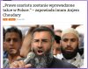 Niech próbują 
