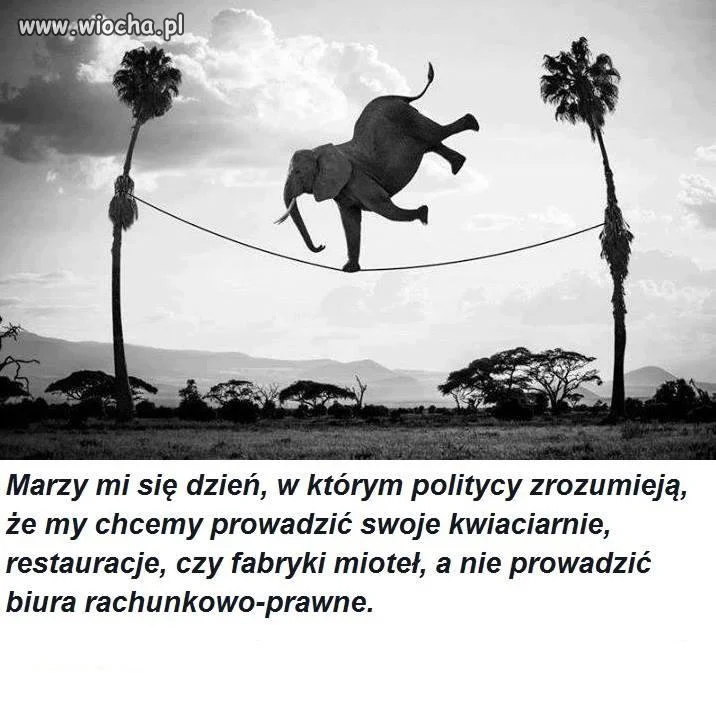 Pięknie ujęte i w samo sedno...