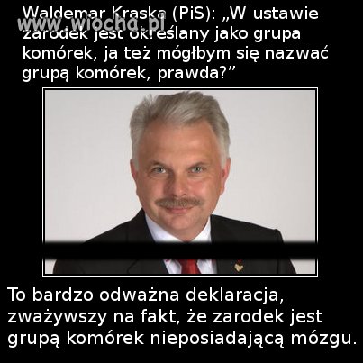 Wielkie brawa
