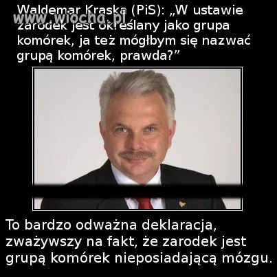 Wielkie brawa
