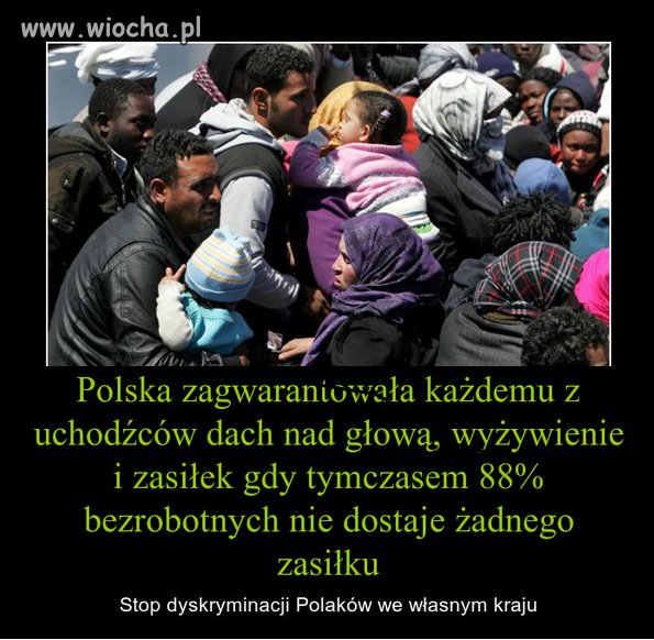 Przesadzają