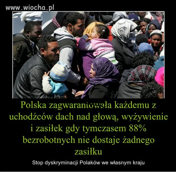 Przesadzają