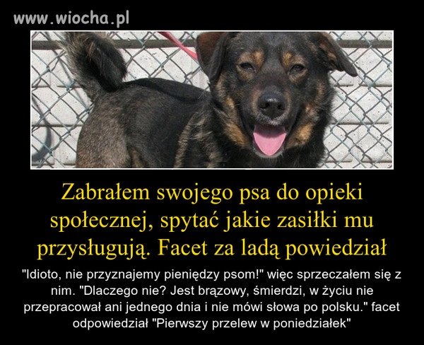 Bardzo odbiega od rzeczywistości?