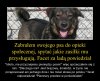 Bardzo odbiega od rzeczywistości?