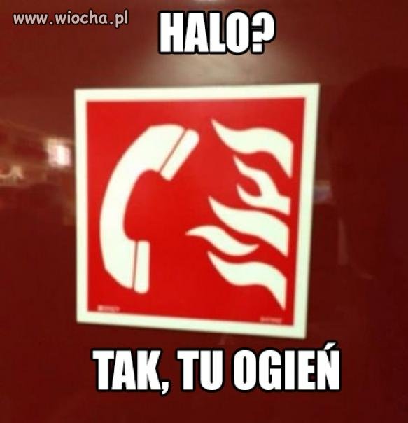 Halo halo.