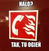 Halo halo.