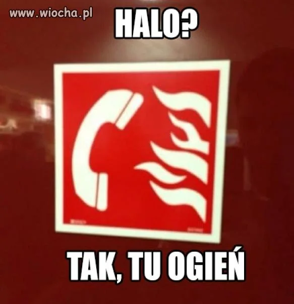 Halo halo.