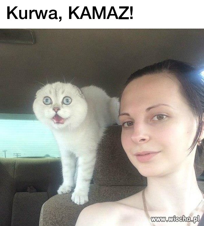 Wkurzające jak niektórzy robią wszystko w aucie