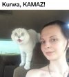 Wkurzające jak niektórzy robią wszystko w aucie