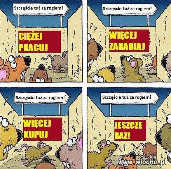 Czym się zajmujemy między wyborami...