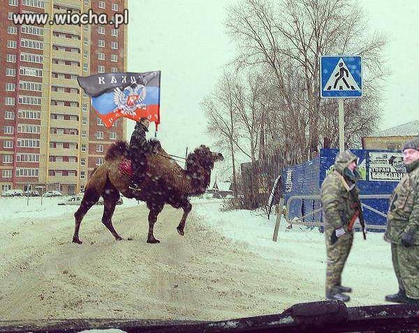 Rosja się zbroi 