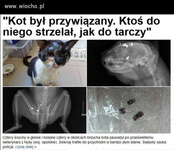 Człowiek. To brzmi dumnie