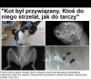 Człowiek. To brzmi dumnie