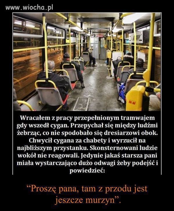 Honorowa Starsza Pani