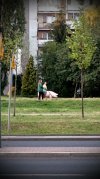 Spacer w Warszawie