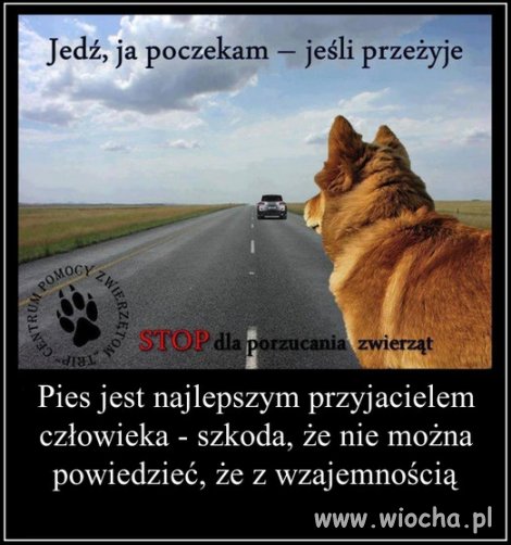 Sezon wakacyjny rozpoczęty 