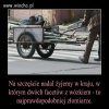 Oby jak najdłużej 