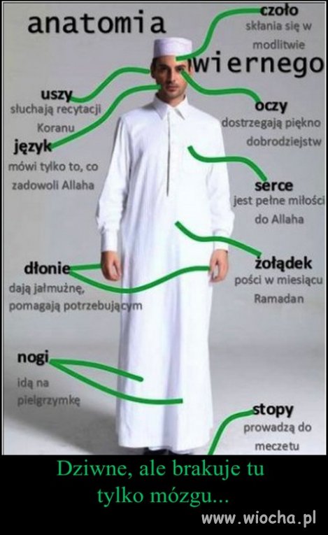Bo mózg im nie potrzebny 