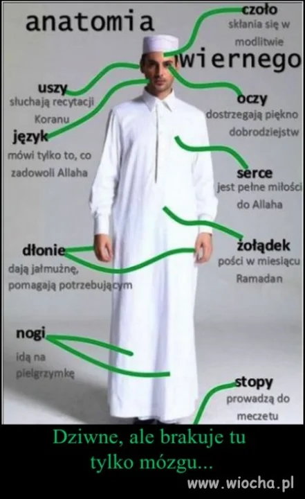 Bo mózg im nie potrzebny 