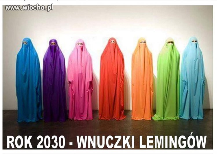 Wszystko w temacie