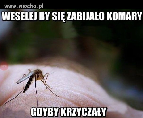 Komary