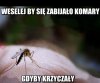 Komary
