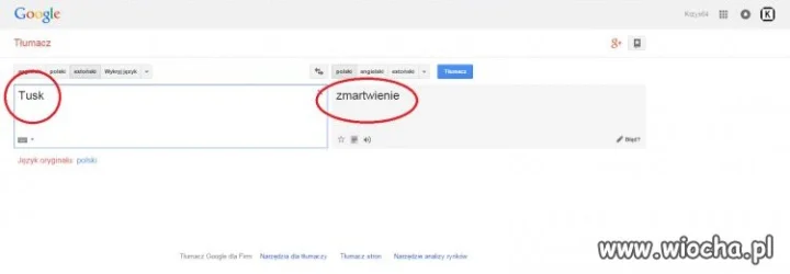 Tłumacz Google nie kłamie!