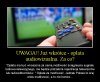 Zapłaci każdy kto ma dochód! Takie tam na PIT