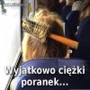 Ciężki poranek