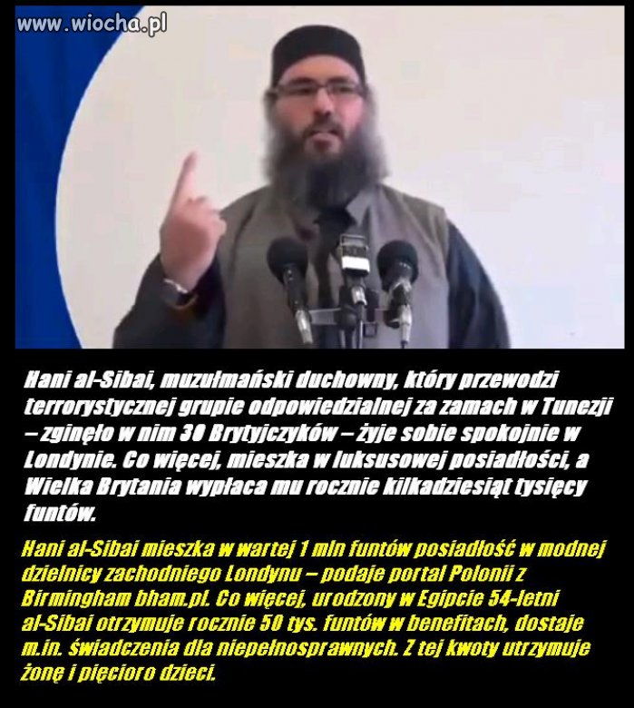 Absurd całkowity. Psychol prowadzi dostatnie