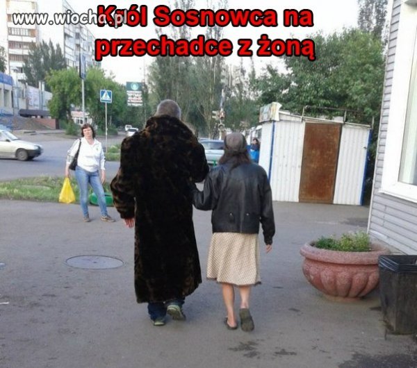 Król Sosnowca...