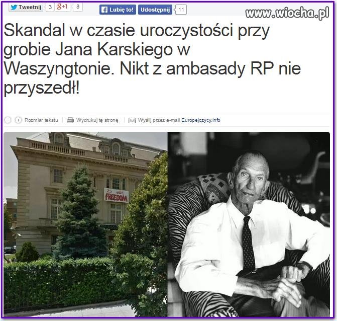 Kryterium nominacji ambasadorów